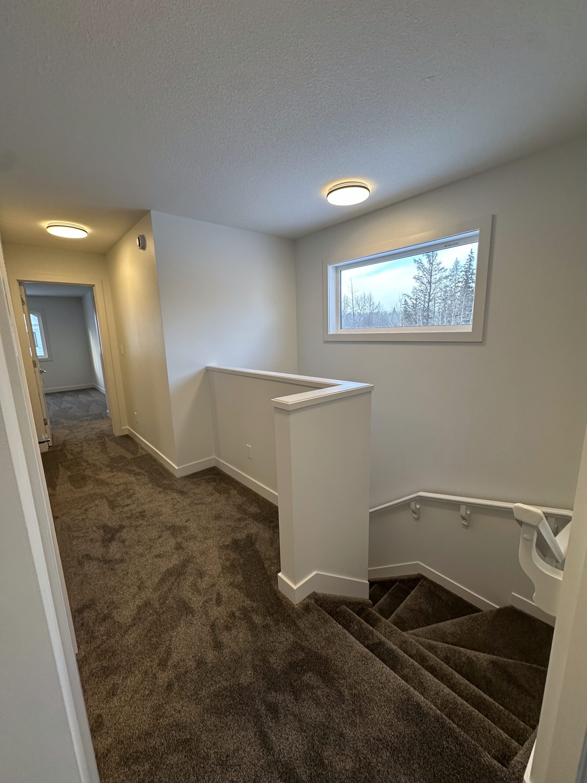 65 - Lodgepole - IMG_4624